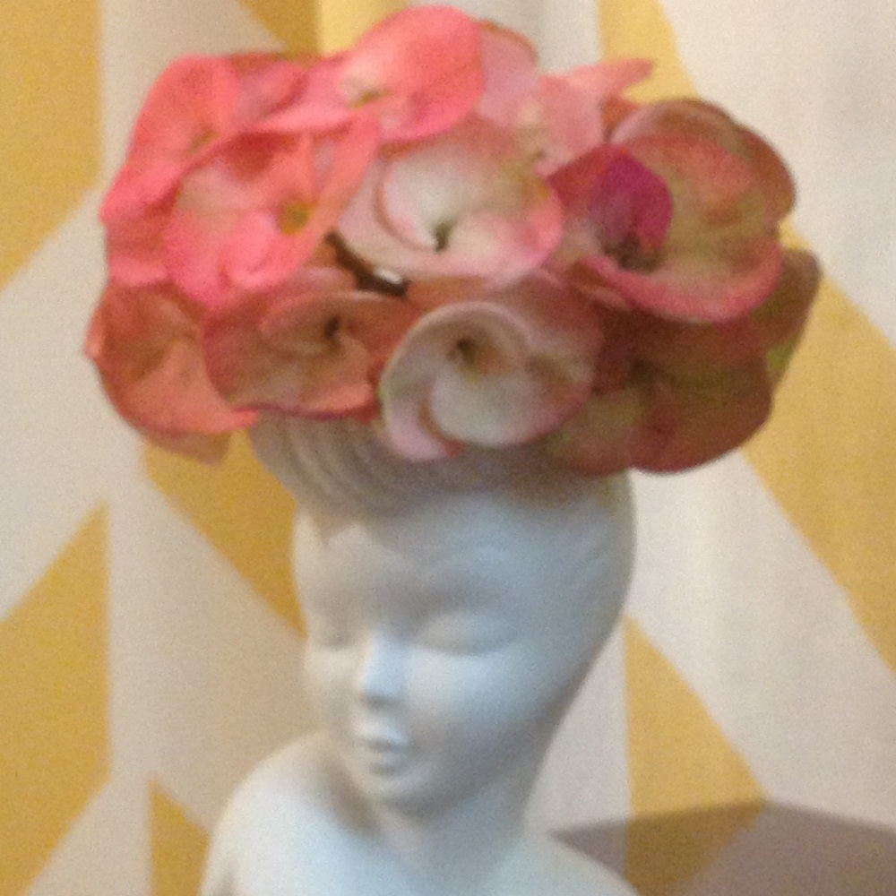 Meet your Posher, Rosa